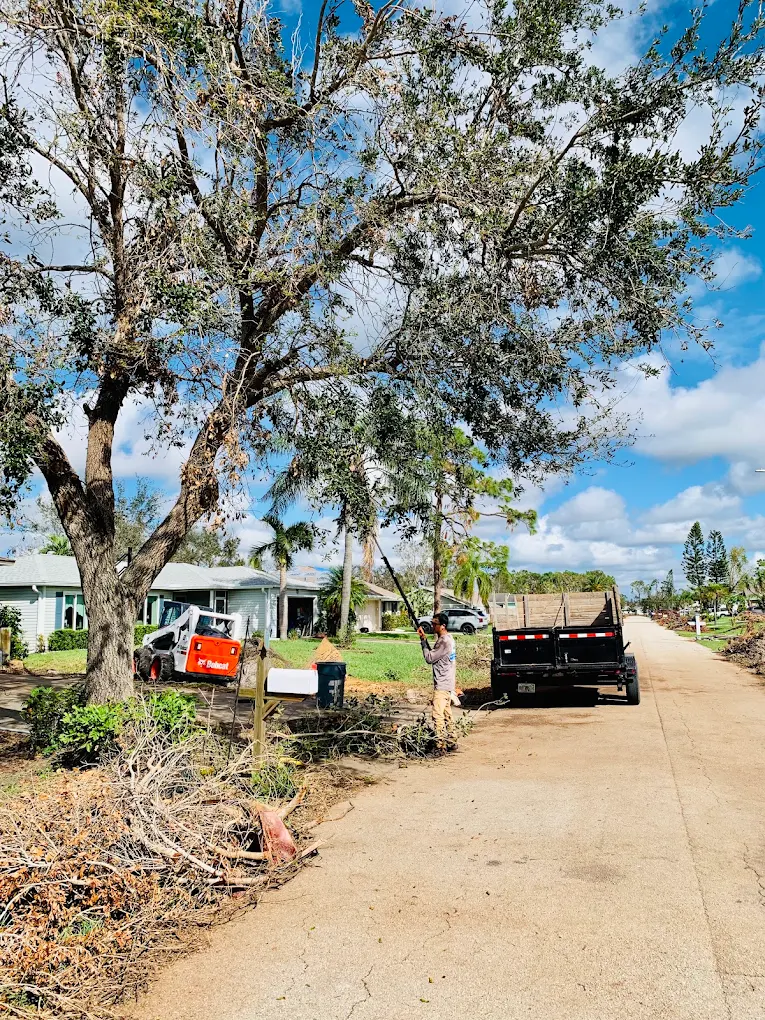 Coastal Edge crew performing tree trimming and debris removal on a residential property in Southwest Florida